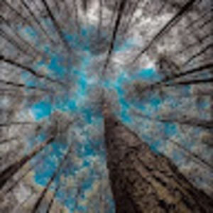 Meet your Posher, Cody